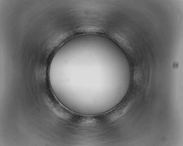 X0000089390206200706221325