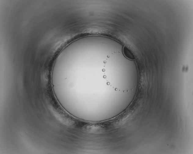 X0000089390208200706221325