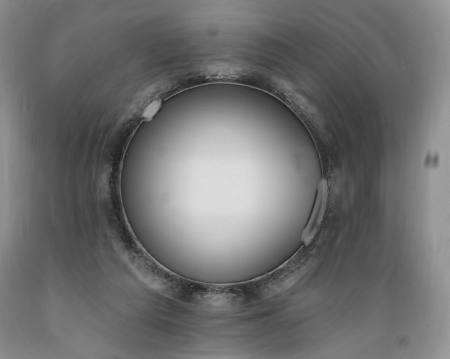 X0000089390209200706221325