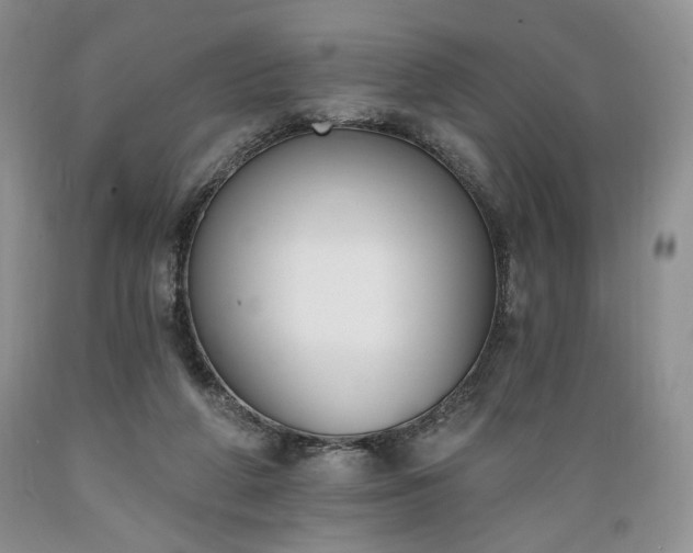 X0000089390210200706221325