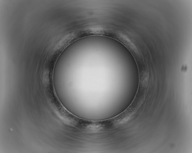 X0000089390213200706221325