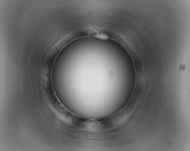 X0000089390215200706221325
