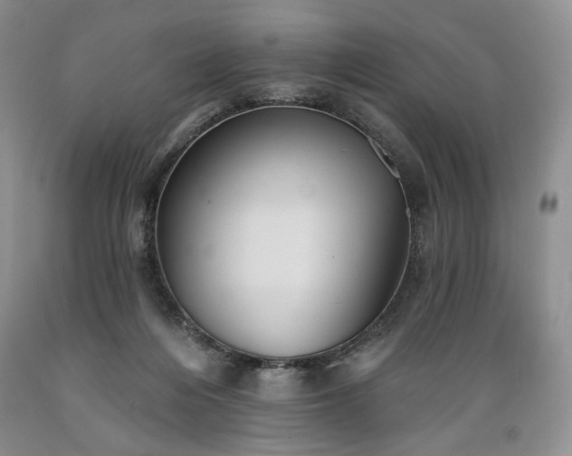 X0000089390216200706221325