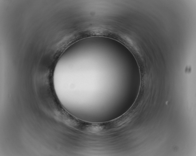 X0000089390217200706221325