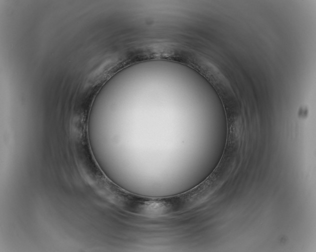 X0000089390218200706221325
