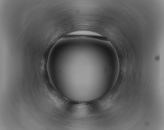 X0000089390219200706221325