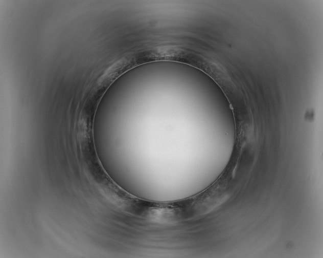 X0000089390220200706221325