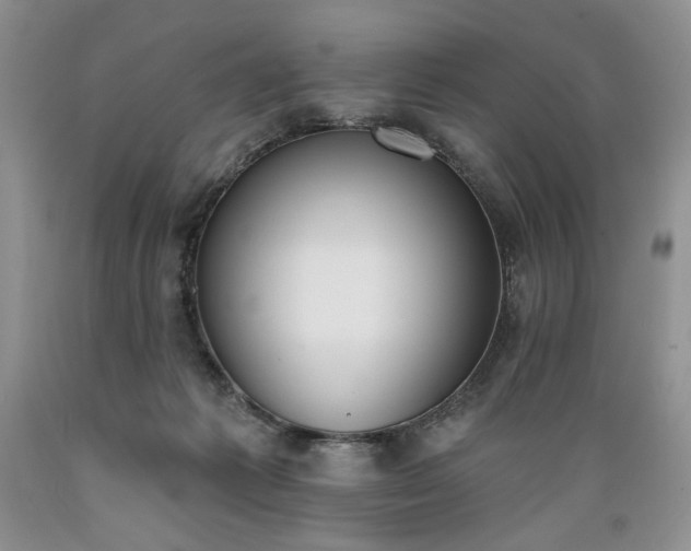 X0000089390221200706221325