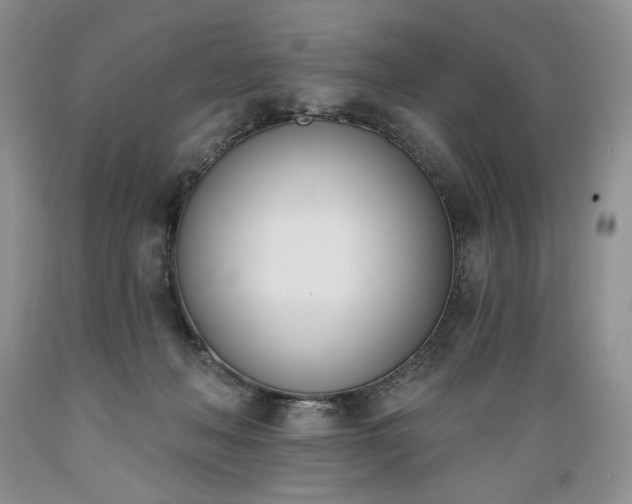 X0000089390222200706221325