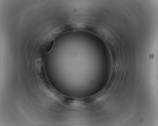 X0000089390223200706221325