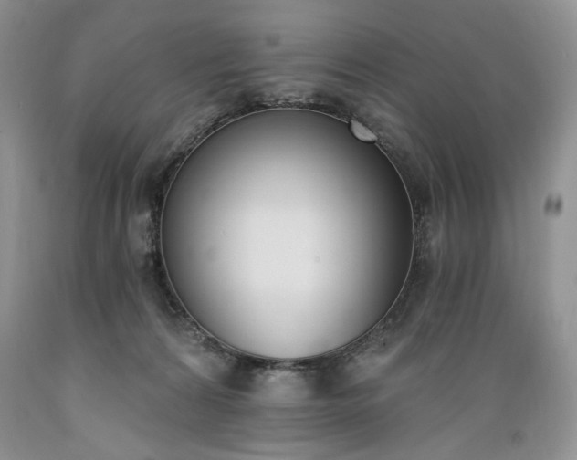 X0000089390224200706221325