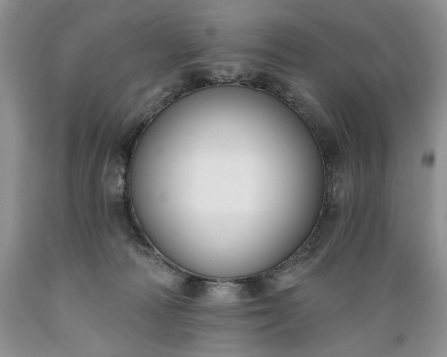 X0000089390226200706221325