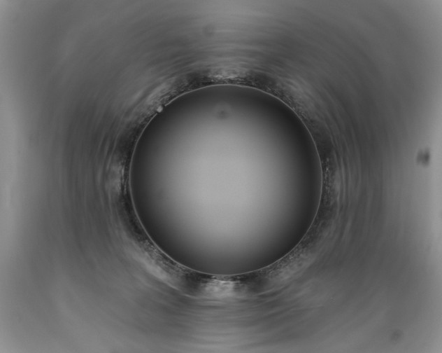 X0000089390227200706221325