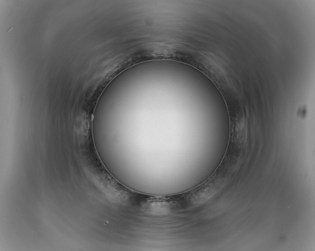 X0000089390228200706221325