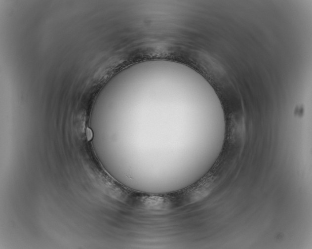 X0000089390230200706221325