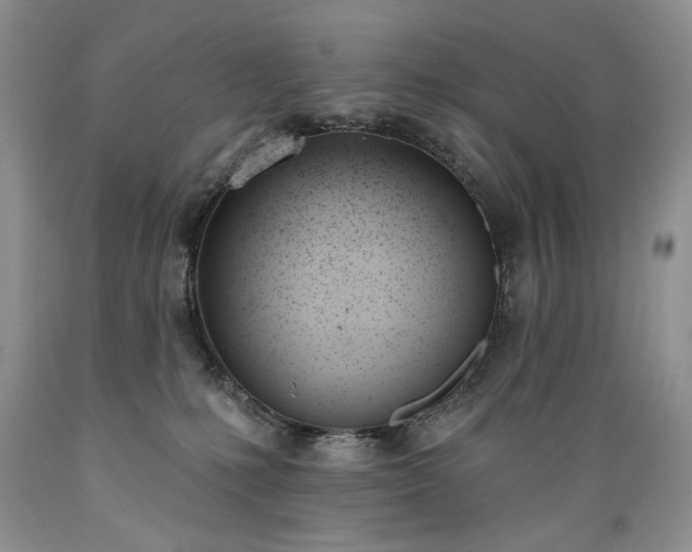 X0000089390231200706221325