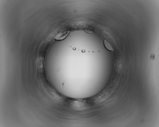 X0000089390232200706221325