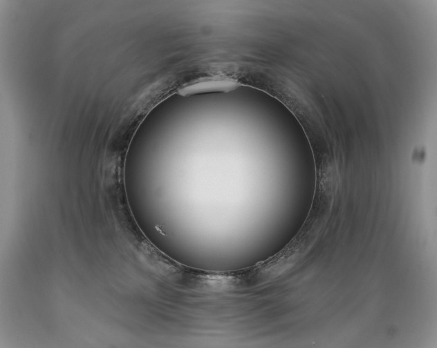 X0000089390233200706221325