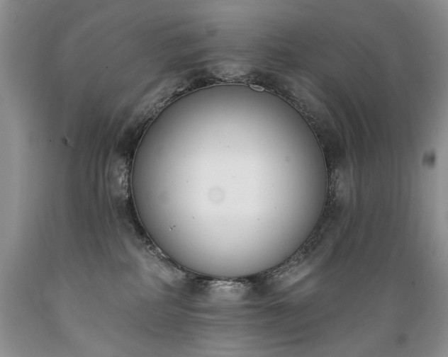 X0000089390234200706221325
