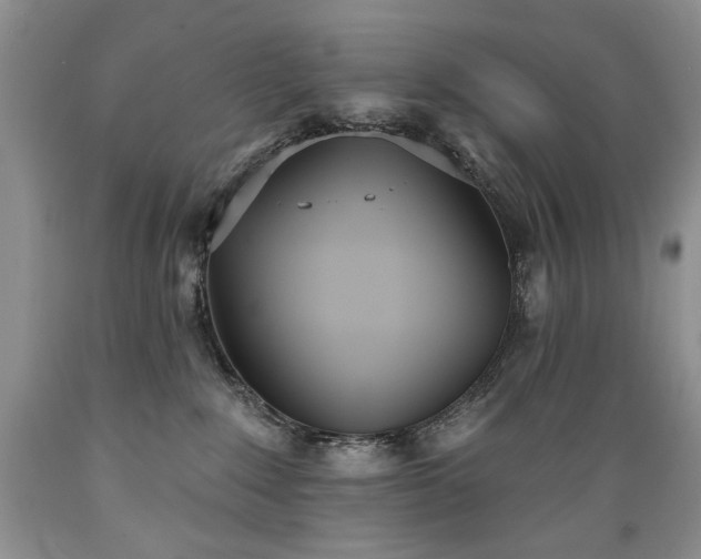 X0000089390235200706221325