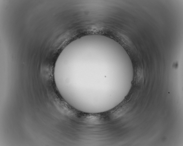 X0000089390236200706221325