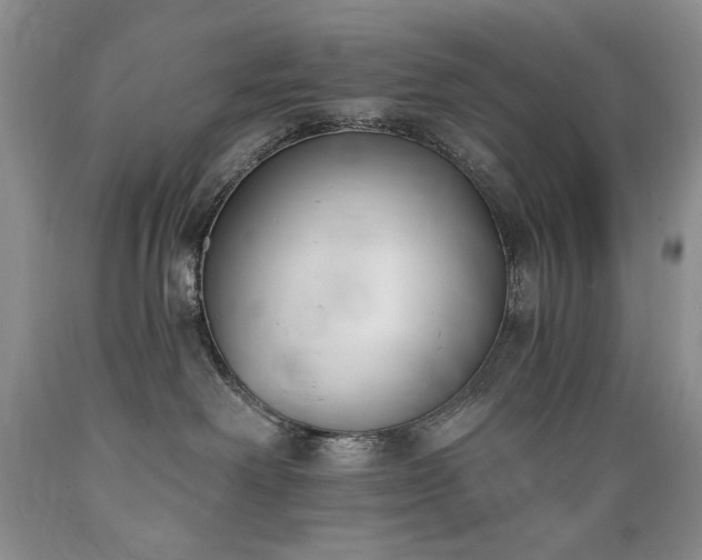 X0000089390238200706221325