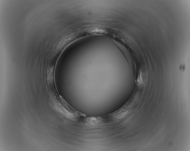 X0000089390239200706221325
