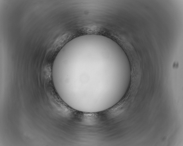 X0000089390240200706221325