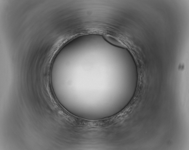 X0000089390241200706221324