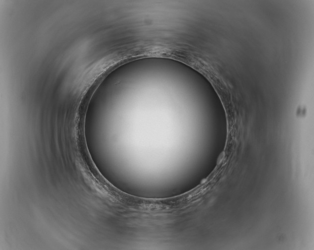 X0000089390242200706221324