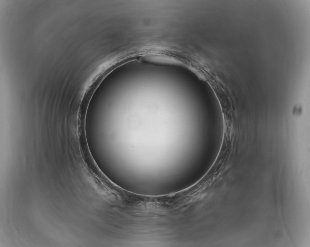 X0000089390244200706221324