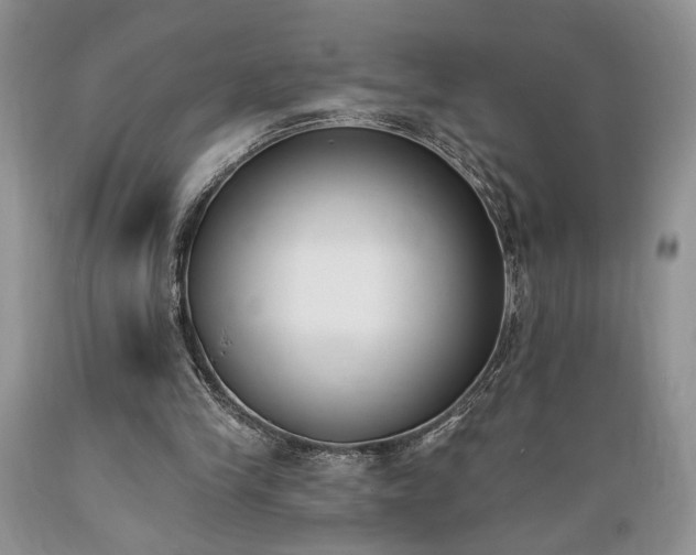 X0000089390245200706221324