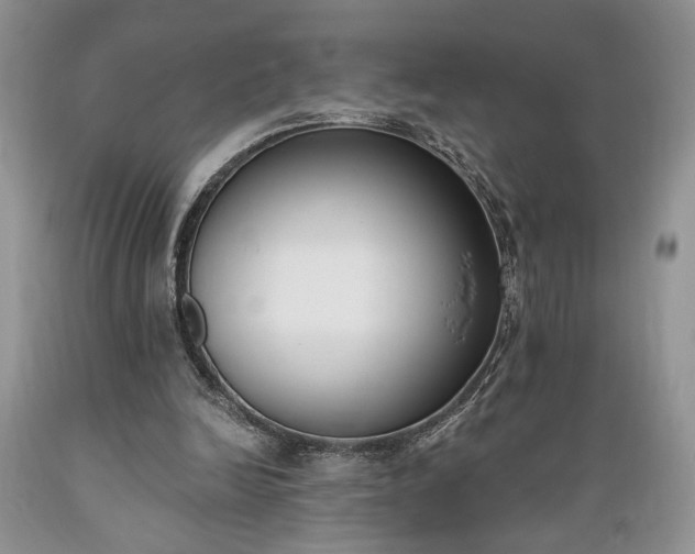 X0000089390246200706221324