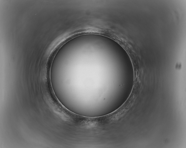 X0000089390247200706221324