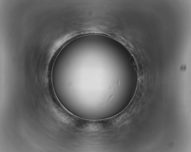X0000089390248200706221324