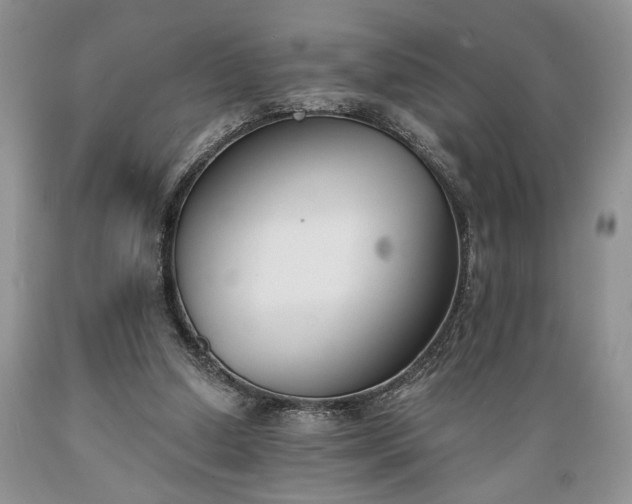 X0000089390250200706221324