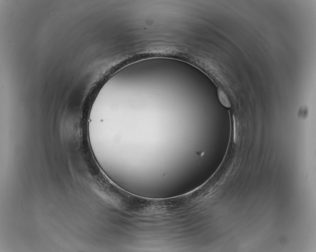 X0000089390252200706221324