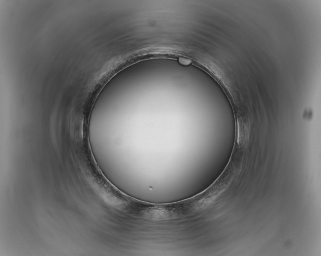 X0000089390253200706221324
