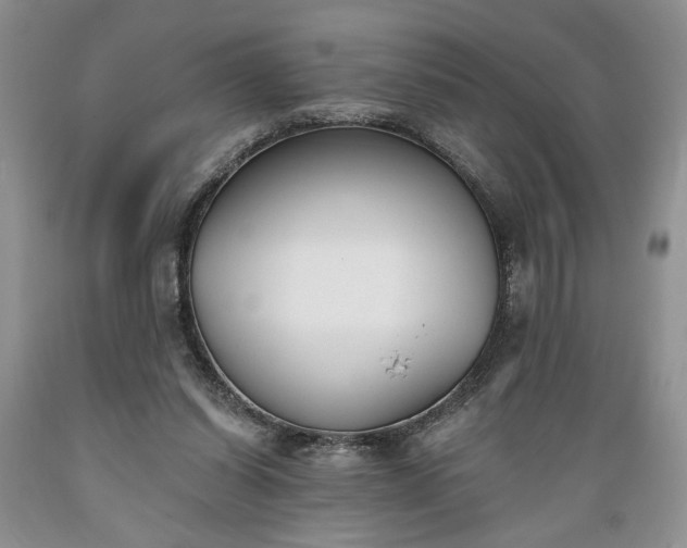 X0000089390254200706221324