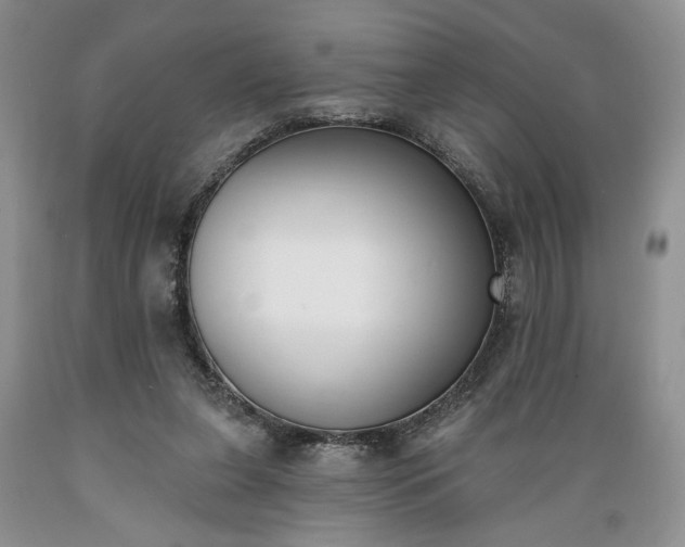 X0000089390255200706221324