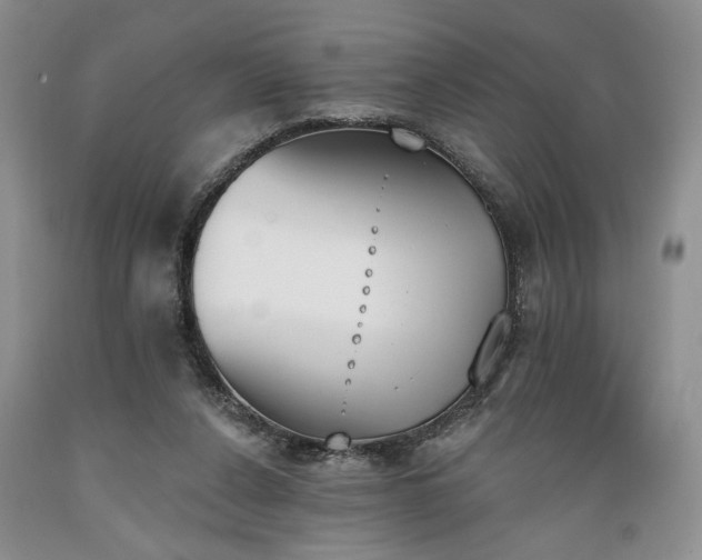 X0000089390256200706221324
