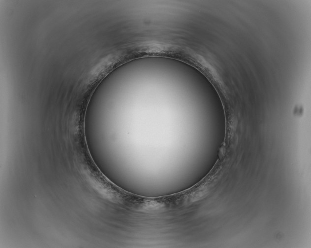 X0000089390257200706221324