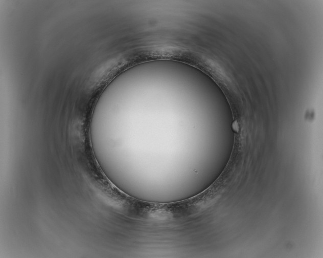 X0000089390258200706221324