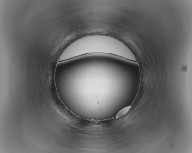 X0000089390260200706221324