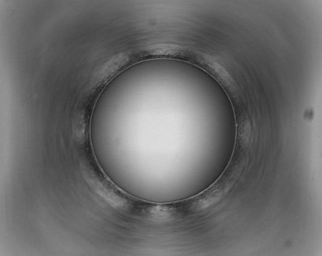 X0000089390261200706221324
