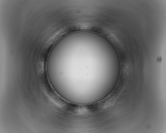 X0000089390262200706221324