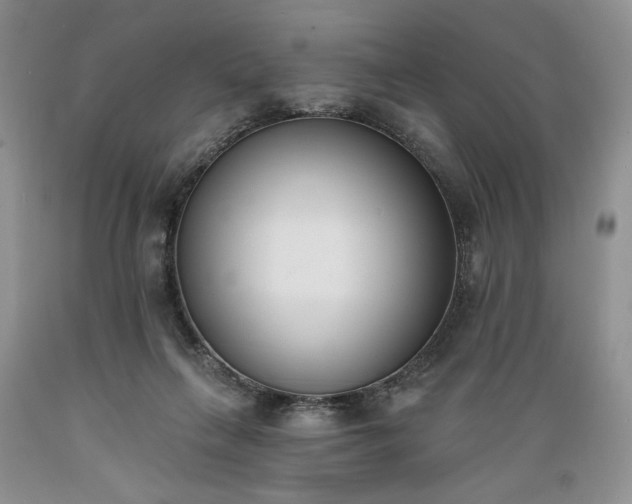 X0000089390263200706221324