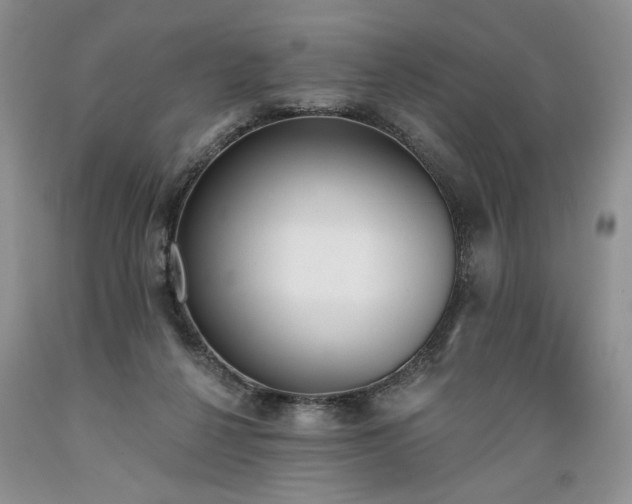 X0000089390264200706221324