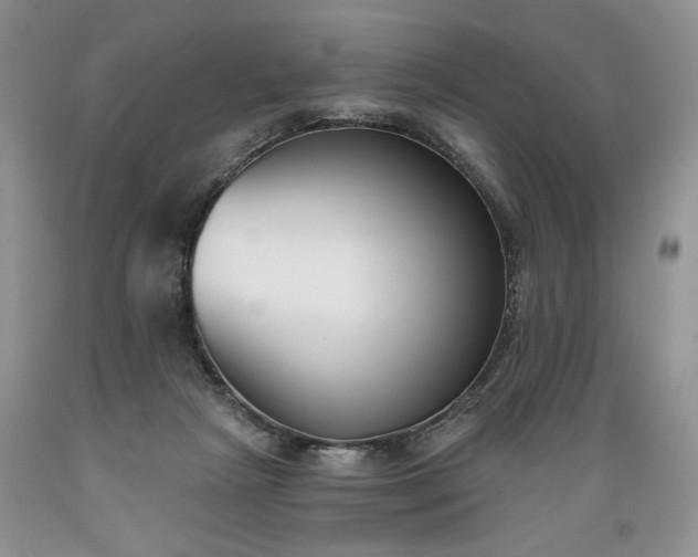 X0000089390265200706221324
