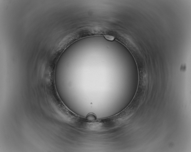 X0000089390266200706221324